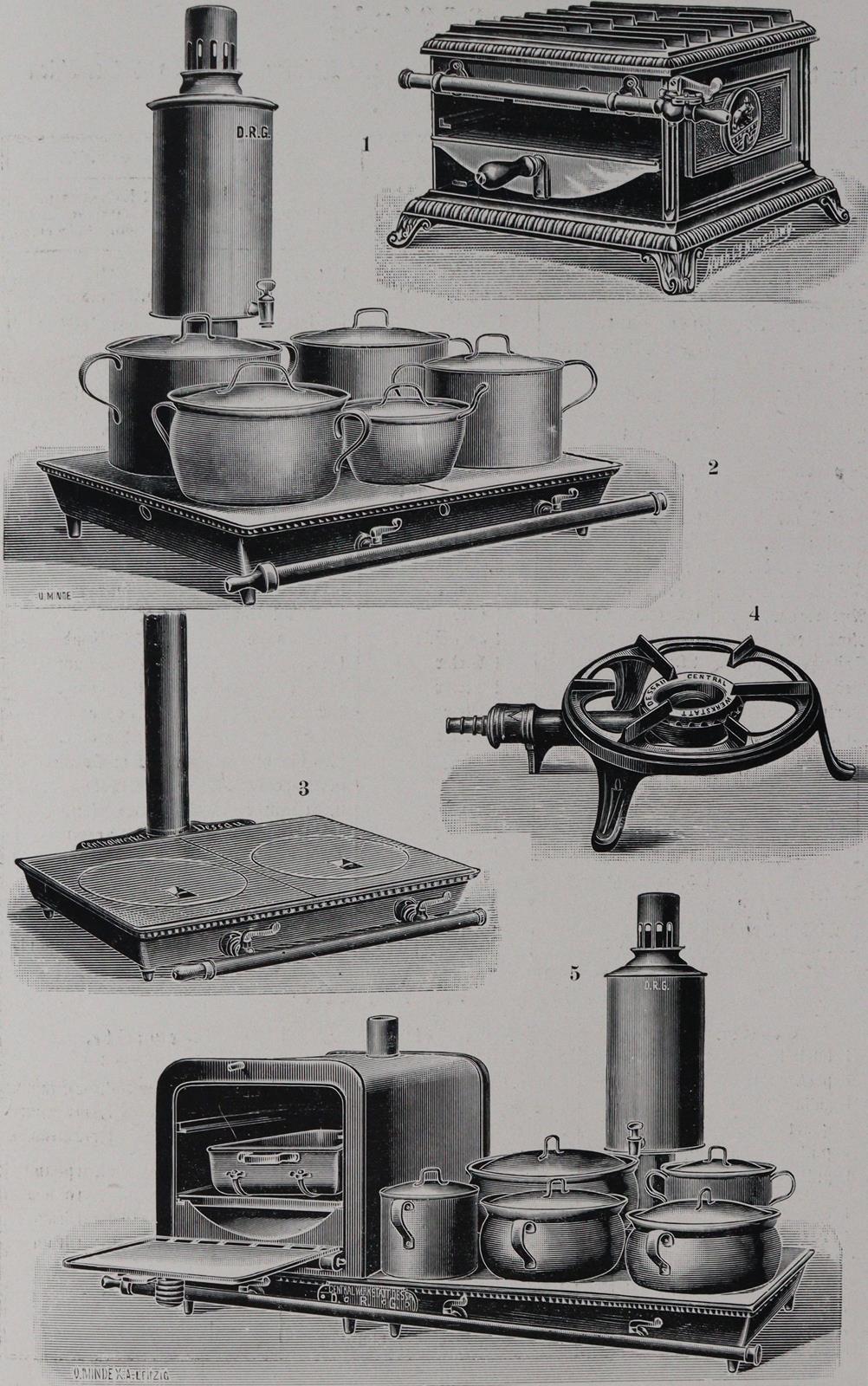 Corvinus,G.S. | Bild Nr.4