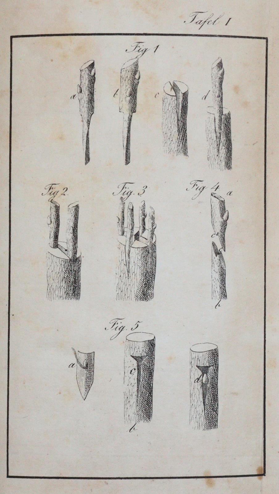 Metzger,J. | Bild Nr.2