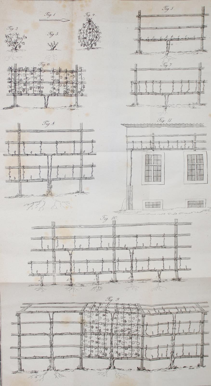 Bronner,J. | Bild Nr.2
