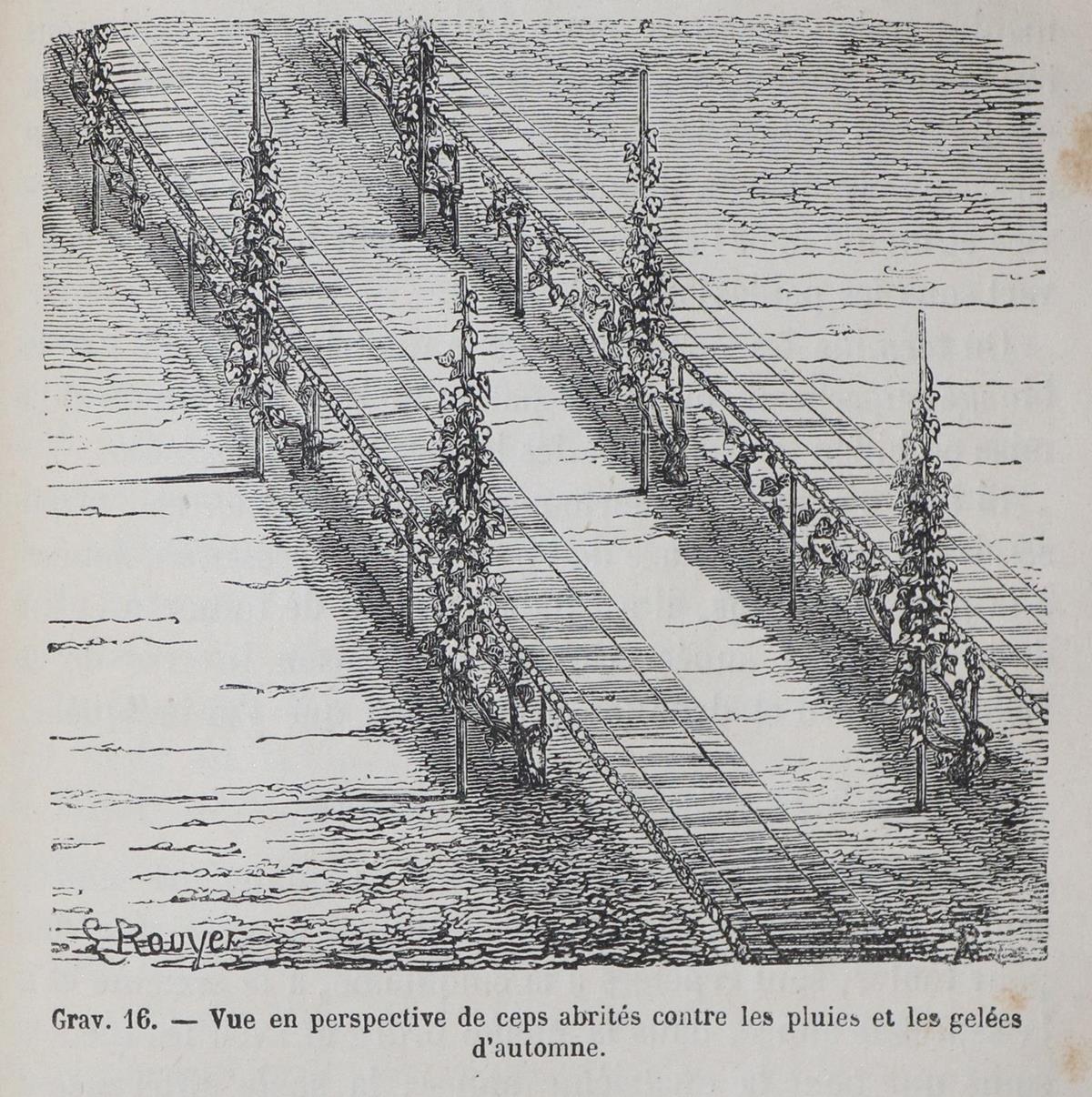 Guyot,J. | Bild Nr.2