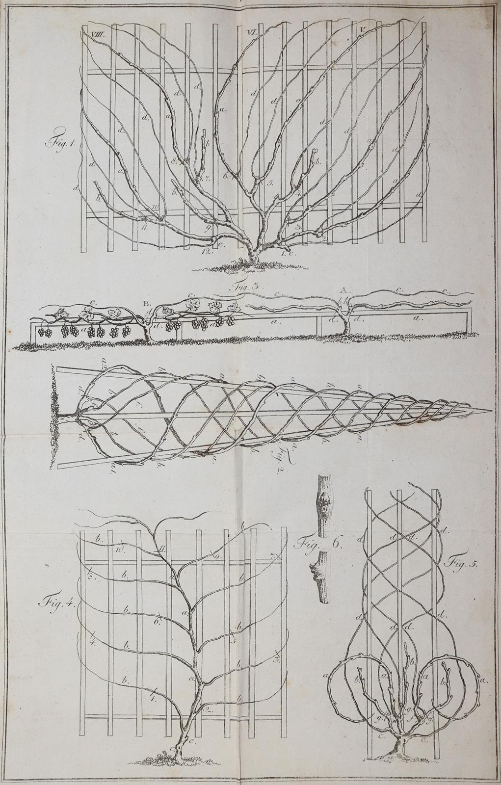 Kecht,S.W. | Bild Nr.1