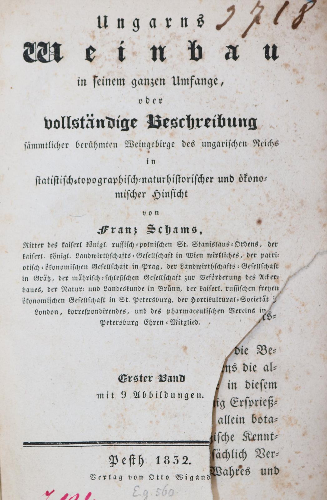 Schams,F. | Bild Nr.1