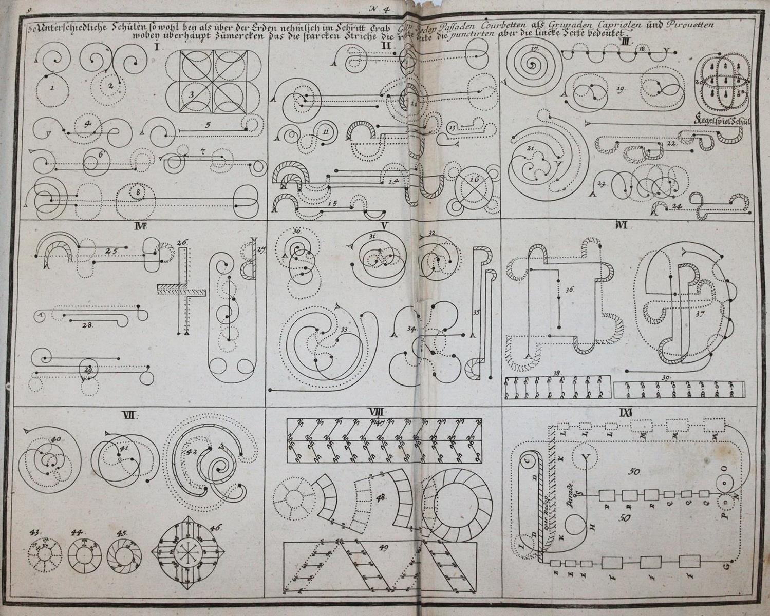 Florinus,F.P. | Bild Nr.3