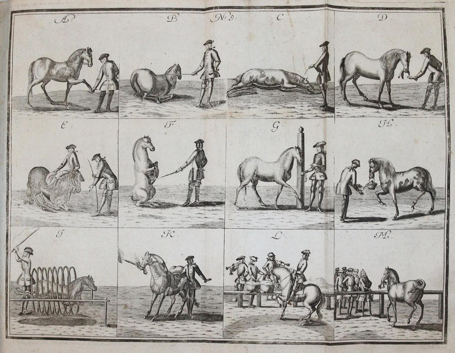 Florinus,F.P. | Bild Nr.4