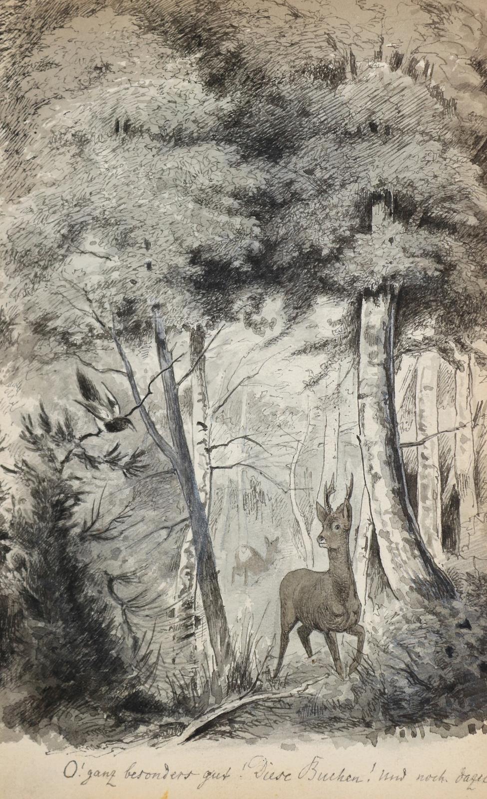 Davidis,H. | Bild Nr.7