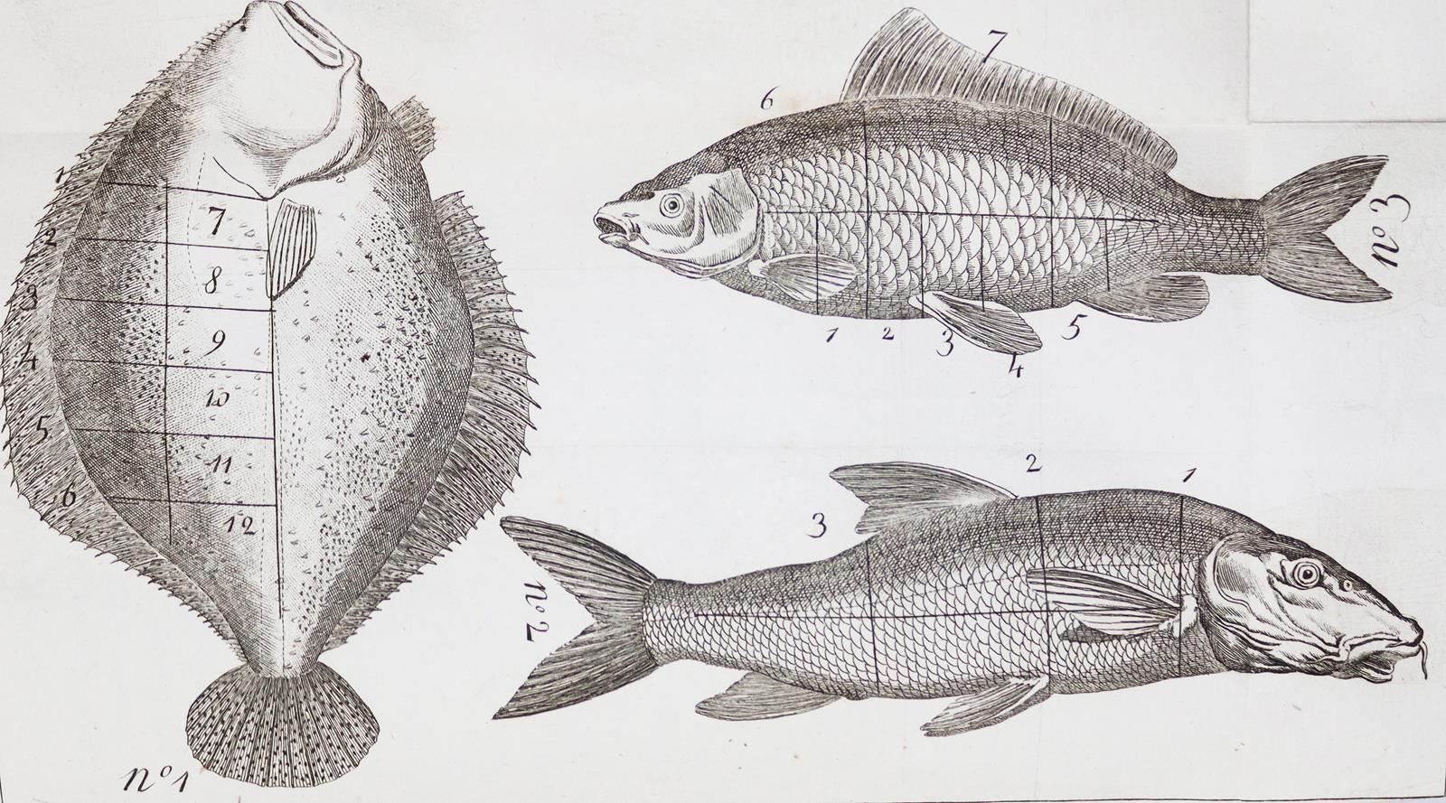 (Grimod de la Reyniere,A.B.L.). | Bild Nr.2