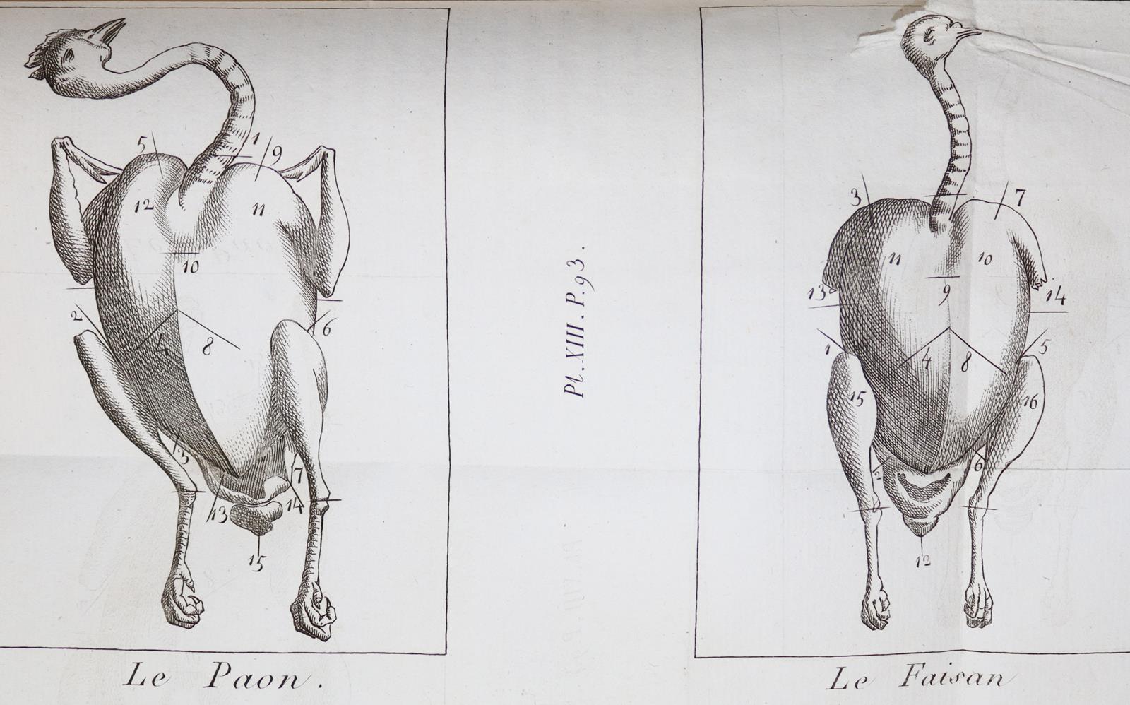 (Grimod de la Reyniere,A.B.L.). | Bild Nr.3