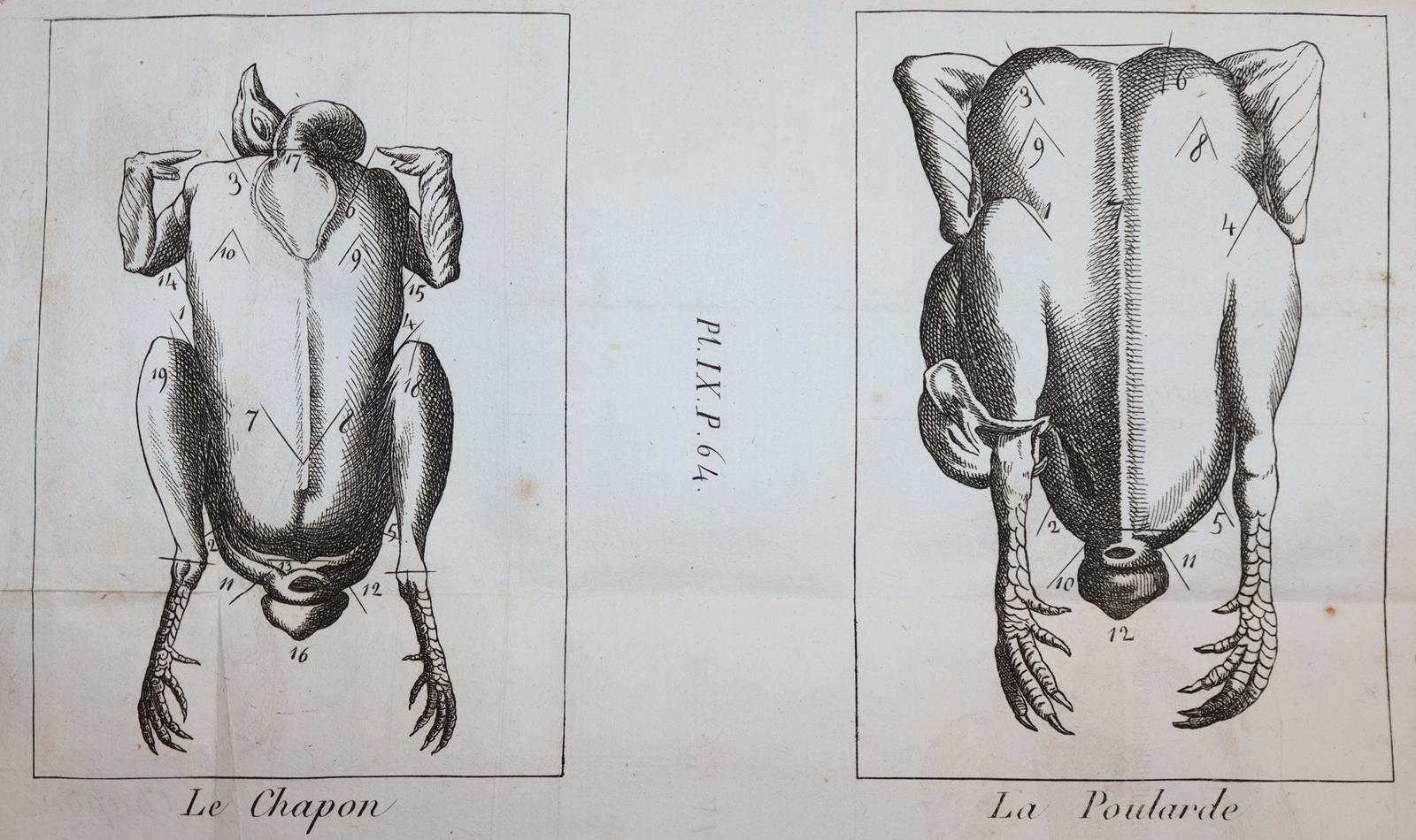 (Grimod de la Reyniere,A.B.L.). | Bild Nr.7