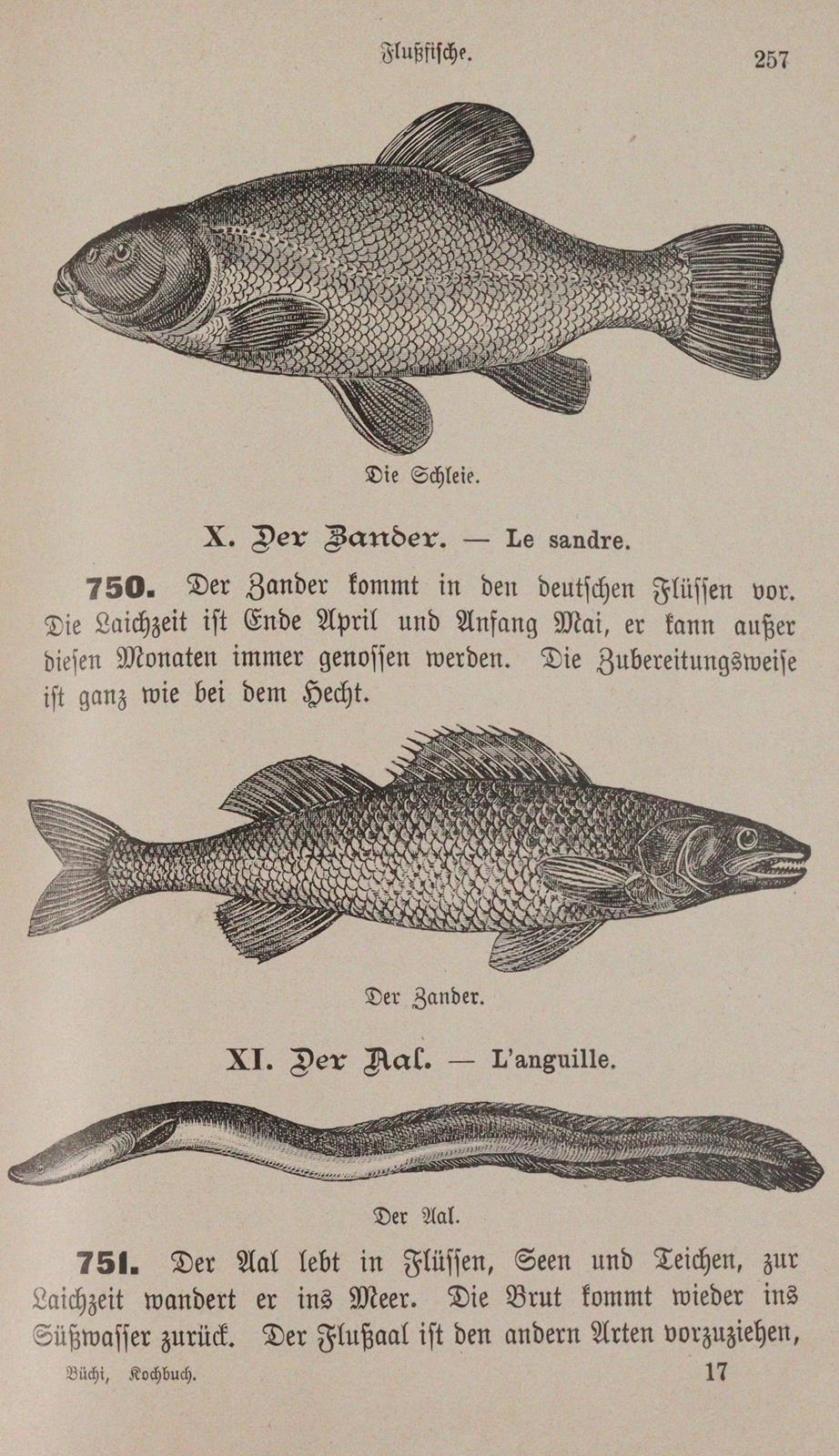 Büchi,L. | Bild Nr.2
