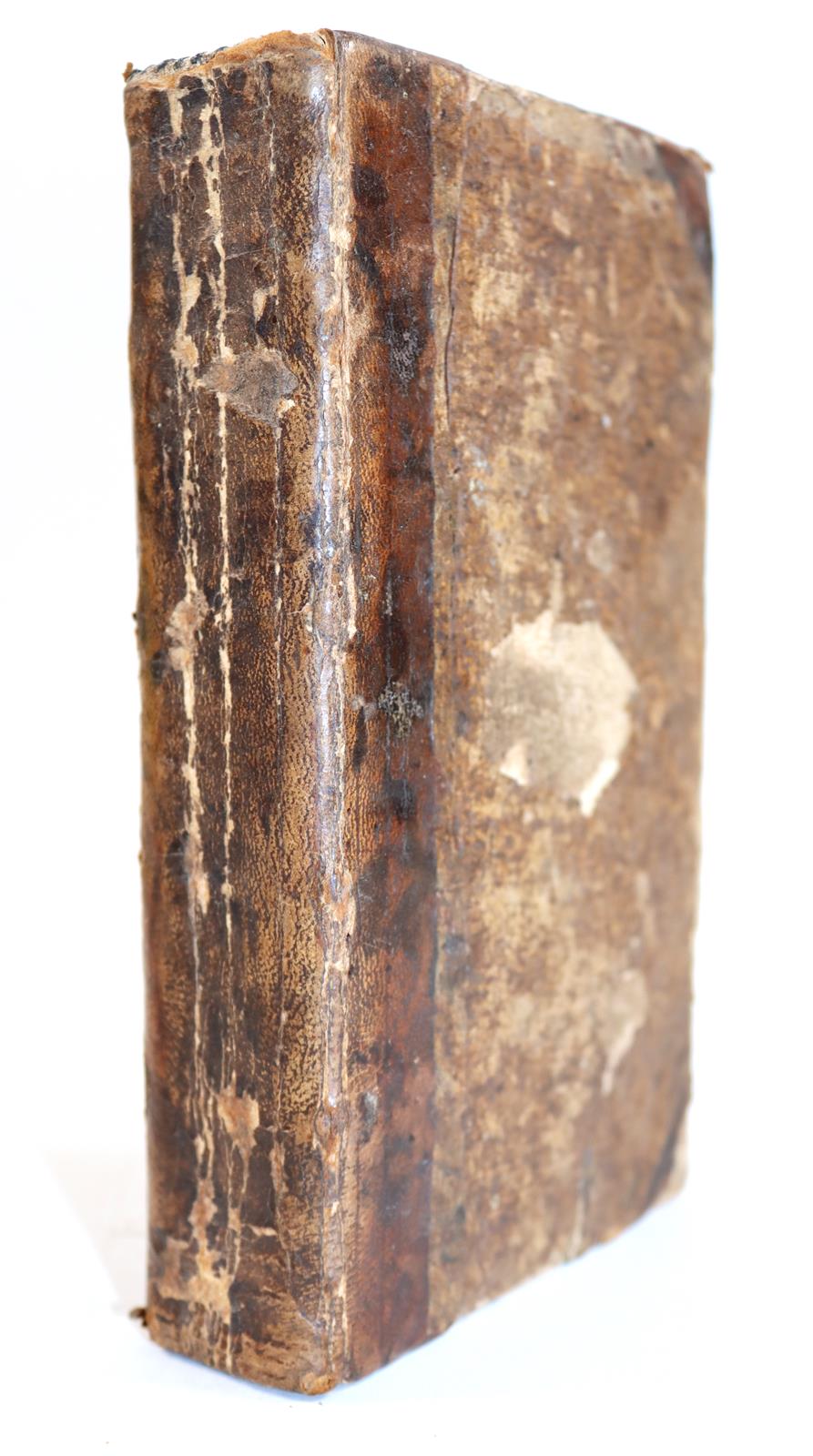 (Knör,R.C.). | Bild Nr.2