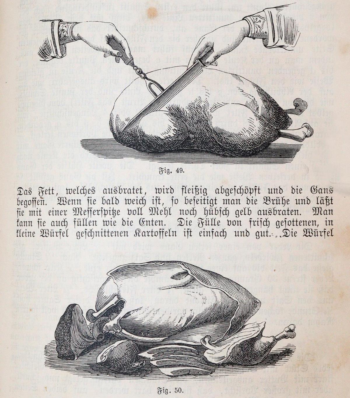 Meixner,M.E. | Bild Nr.3