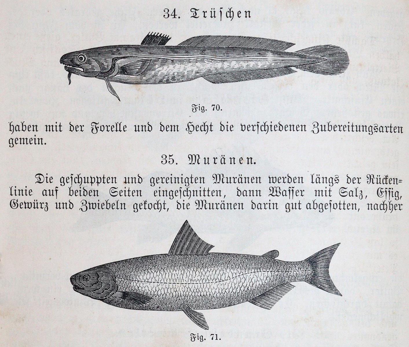 Meixner,M.E. | Bild Nr.4
