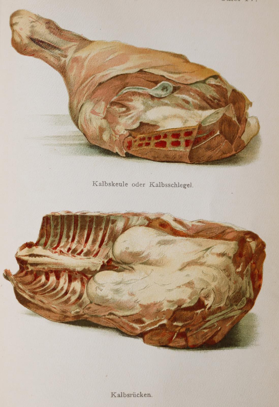Neudecker,M.A. | Bild Nr.4