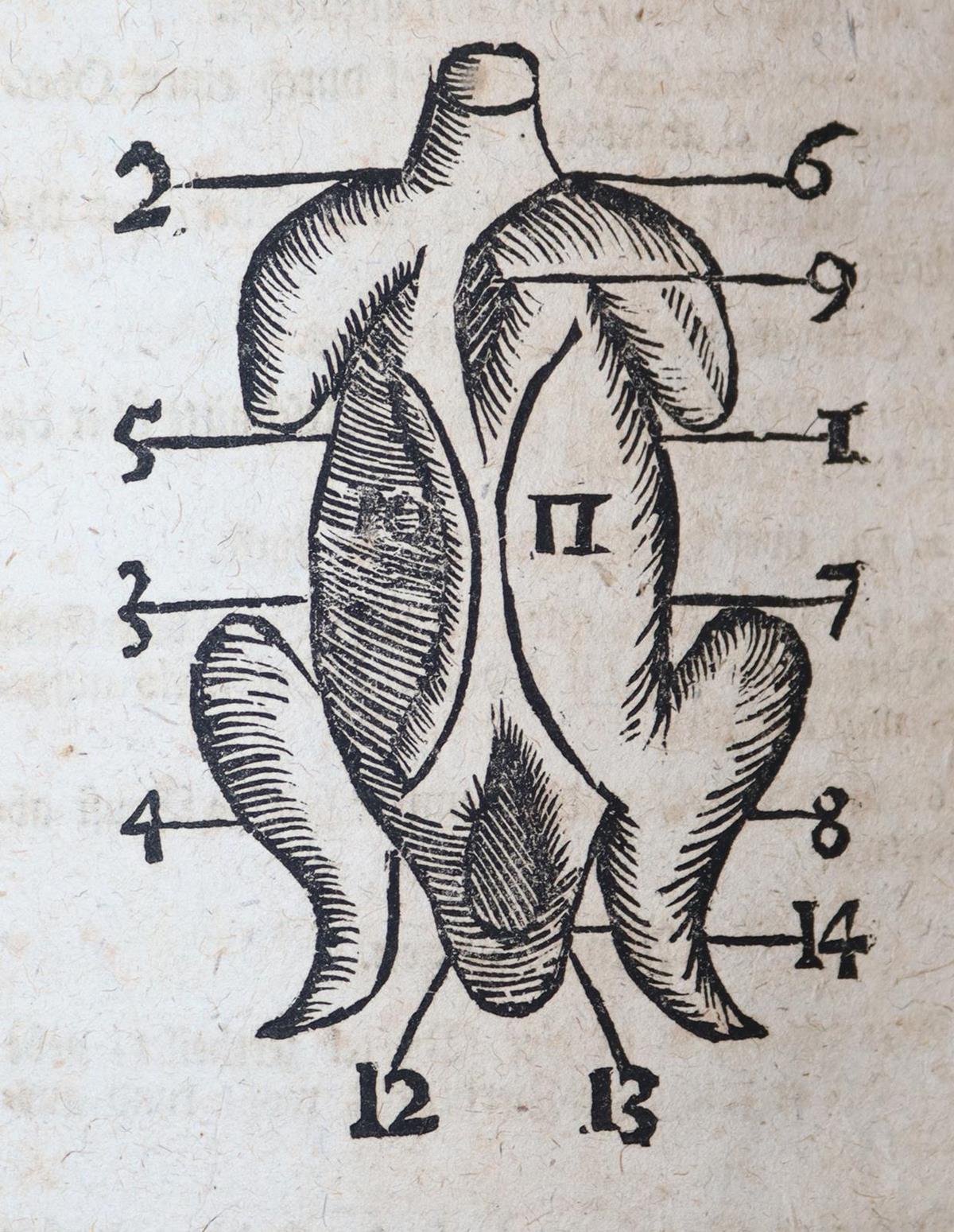 Neues wohl eingerichtetes Koch-Buch, | Bild Nr.3