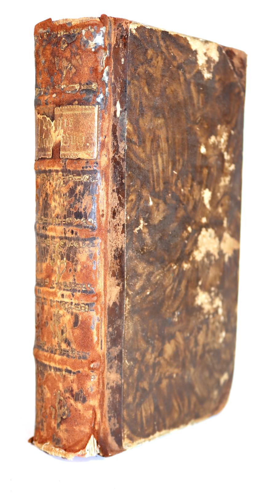 Loofft,M. | Bild Nr.6