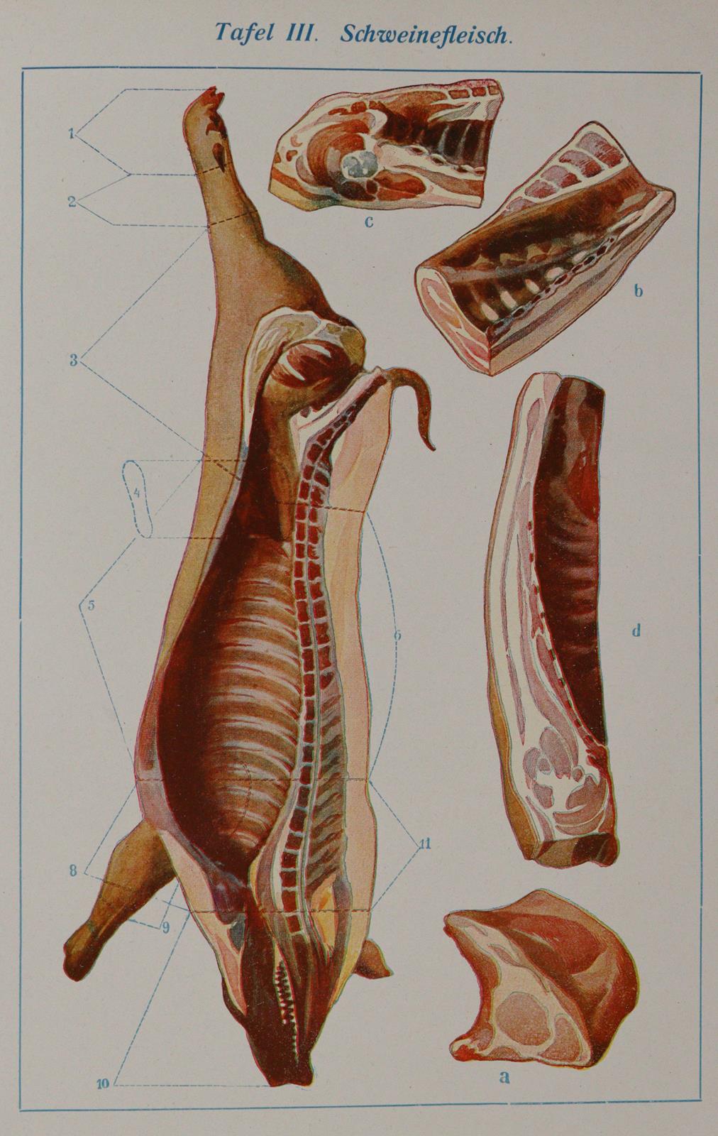 Rottenhöfer,J. | Bild Nr.4