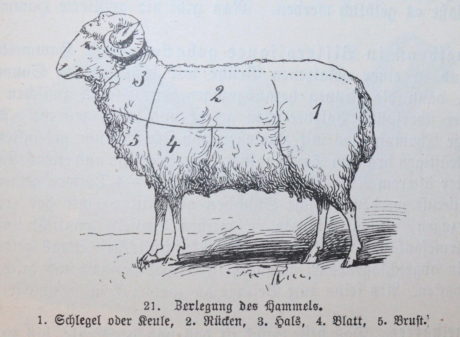 Sammlung | Bild Nr.3