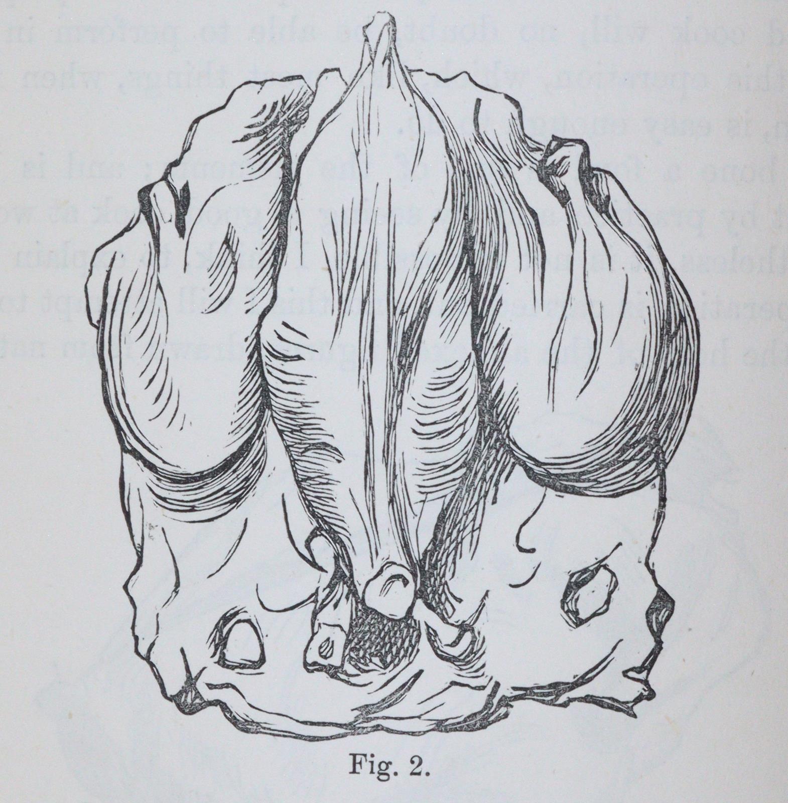 Sammlung | Bild Nr.2