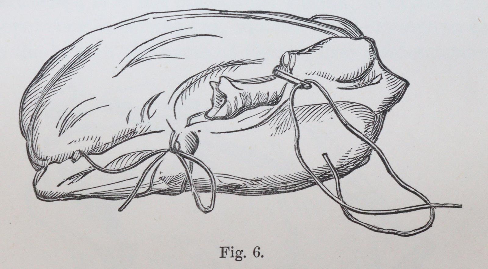 Sammlung | Bild Nr.3