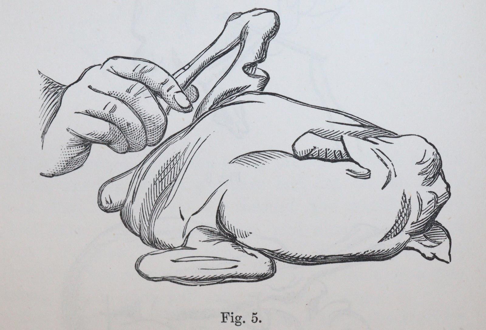 Sammlung | Bild Nr.4