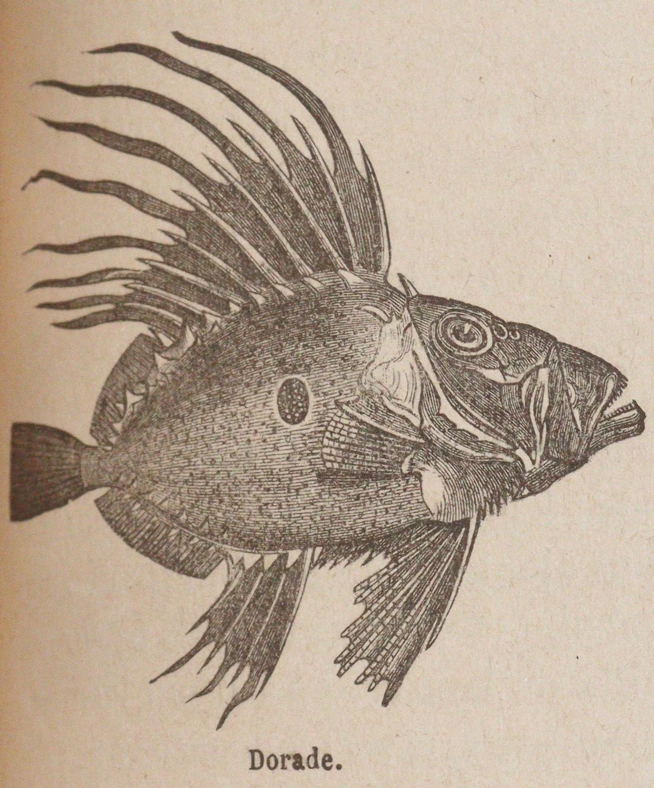 Sammlung | Bild Nr.2