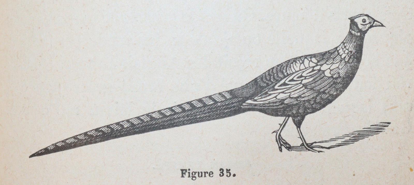 Sammlung | Bild Nr.3