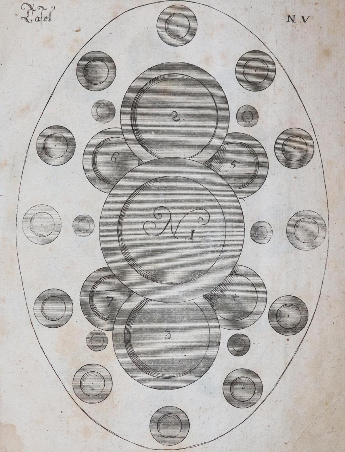 (Schellhammer,M.S.). | Bild Nr.3