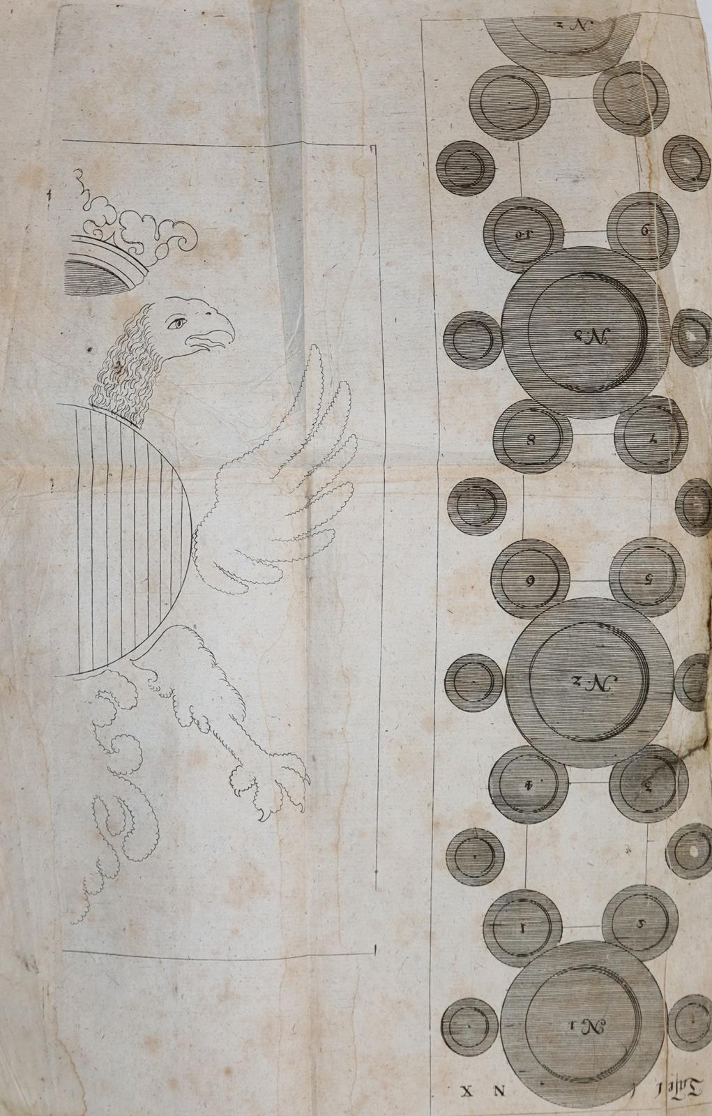 (Schellhammer,M.S.). | Bild Nr.4