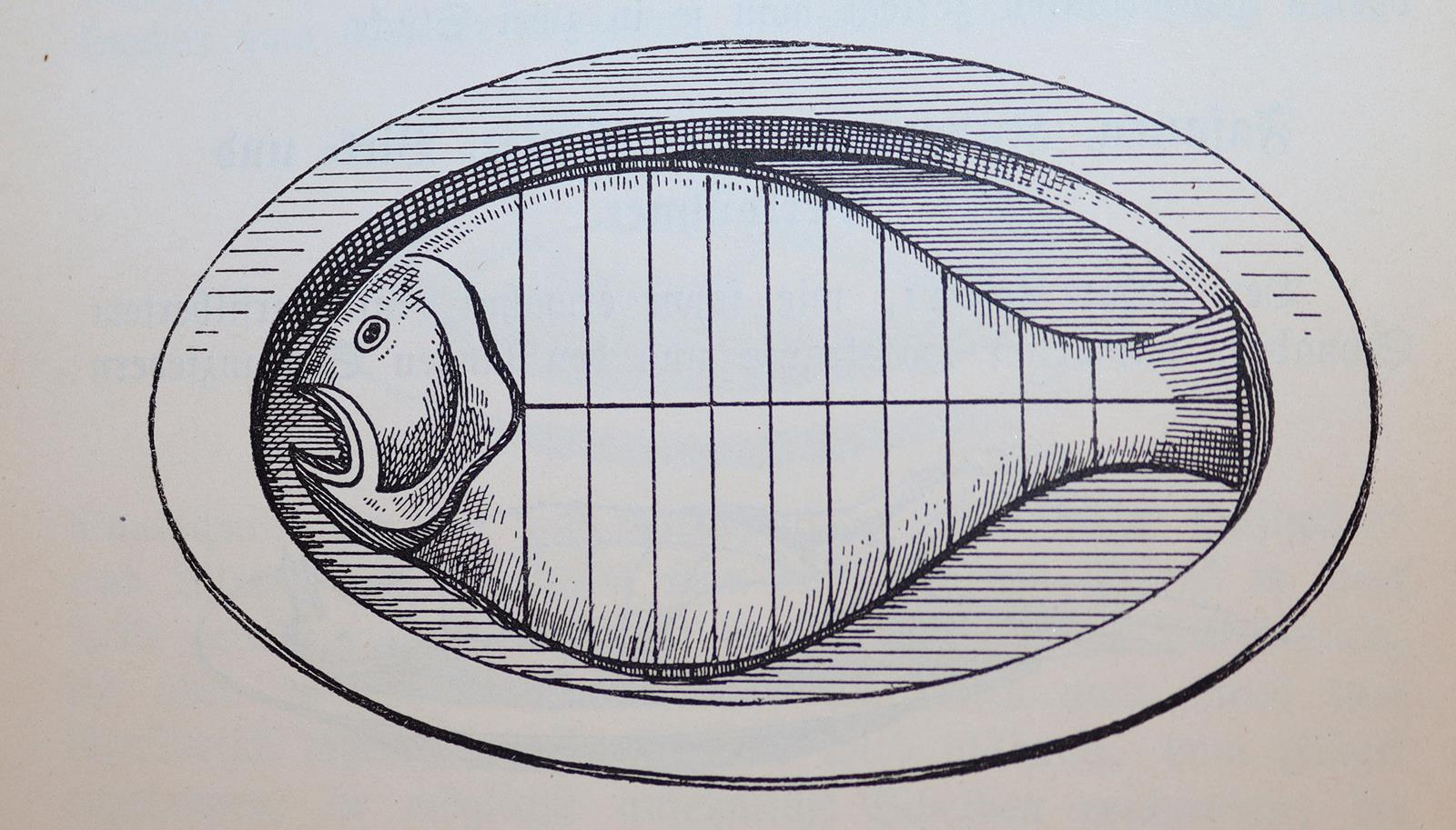 Schlienbecker,W. | Bild Nr.2
