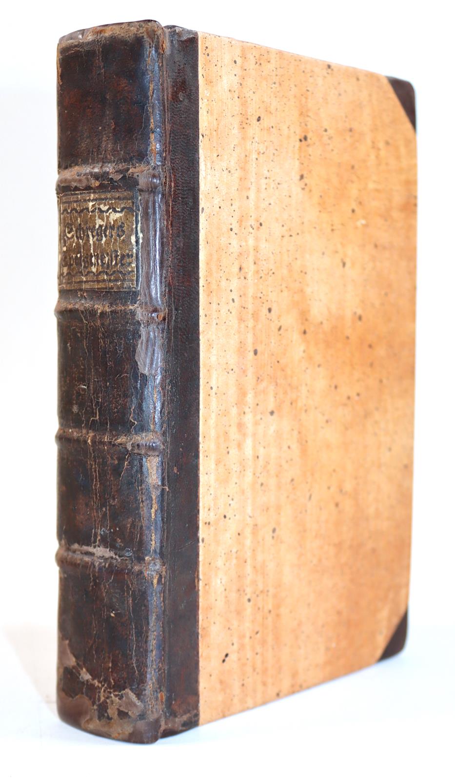 Schreger,O. | Bild Nr.3