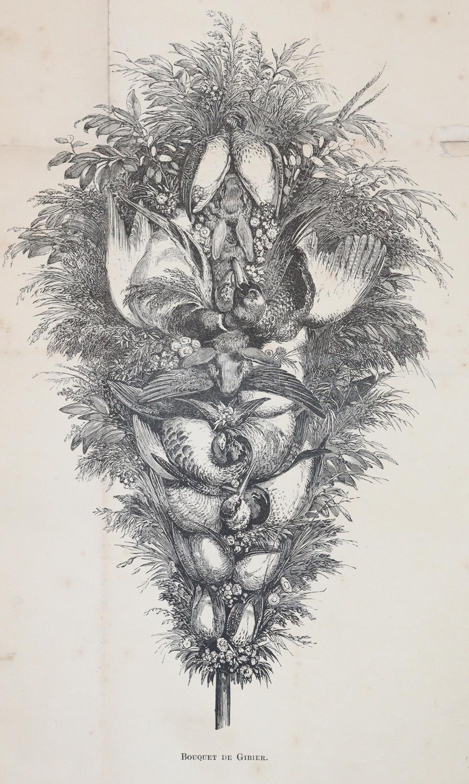 Soyer,A. | Bild Nr.3