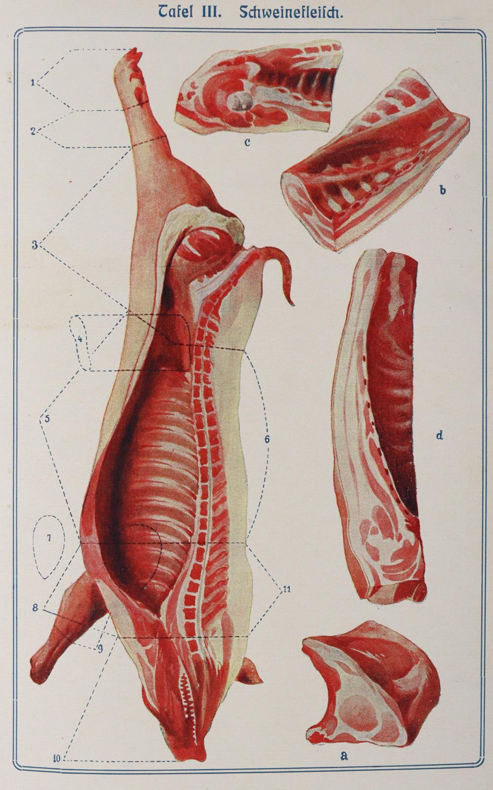 Speth,A. | Bild Nr.1
