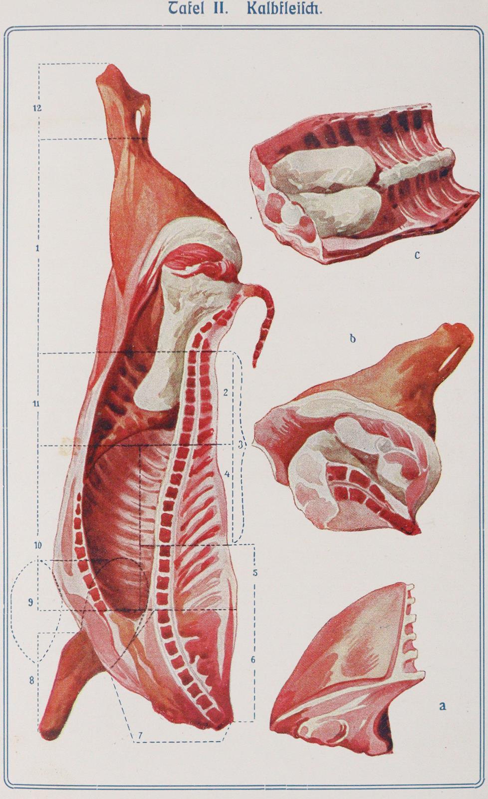 Speth,A. | Bild Nr.4