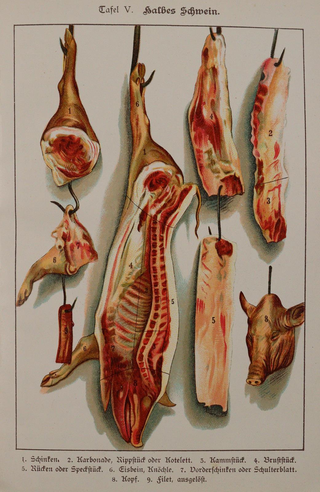 Löffler,F.L. | Bild Nr.2