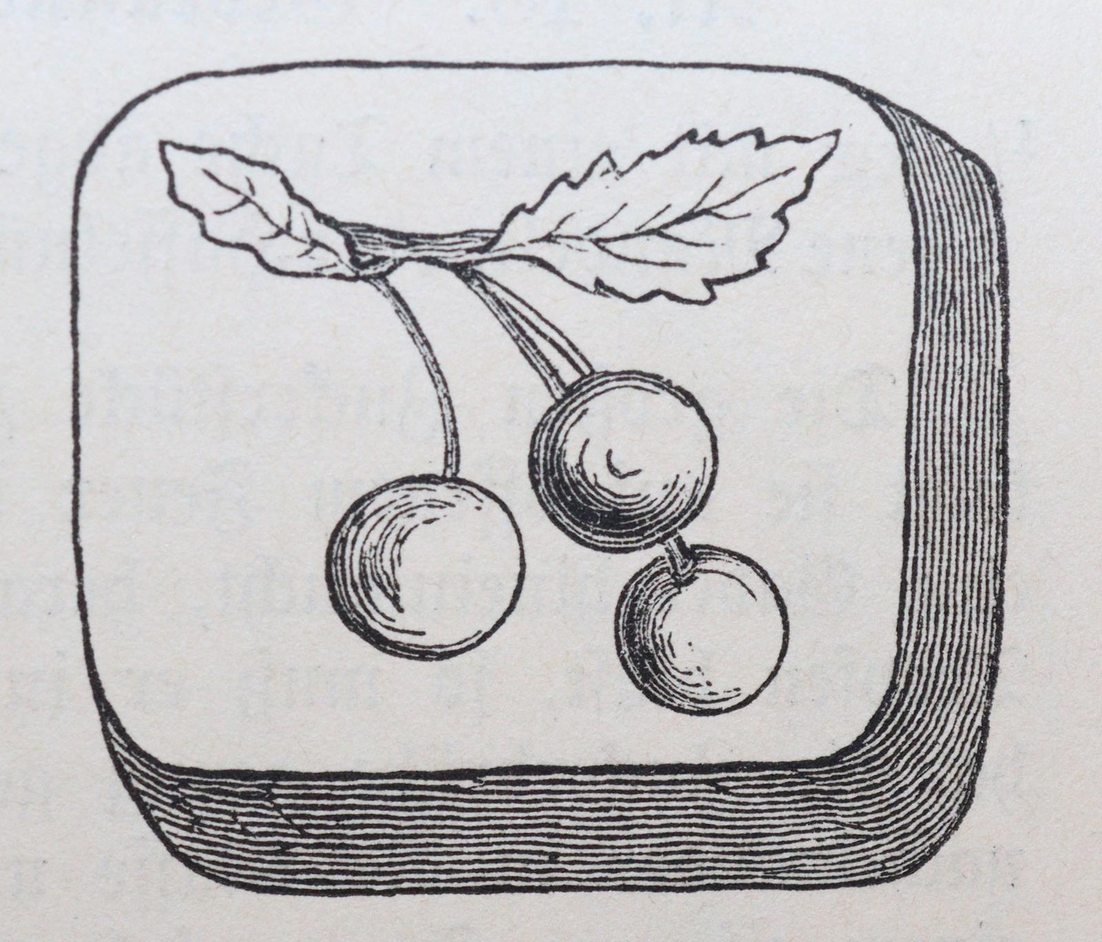 Wehrfritz,M. u. F. | Bild Nr.3