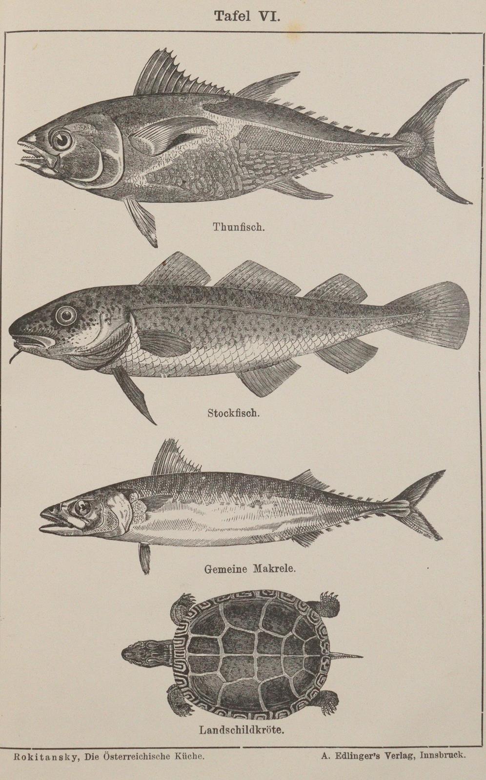 Wiener Küche. | Bild Nr.1
