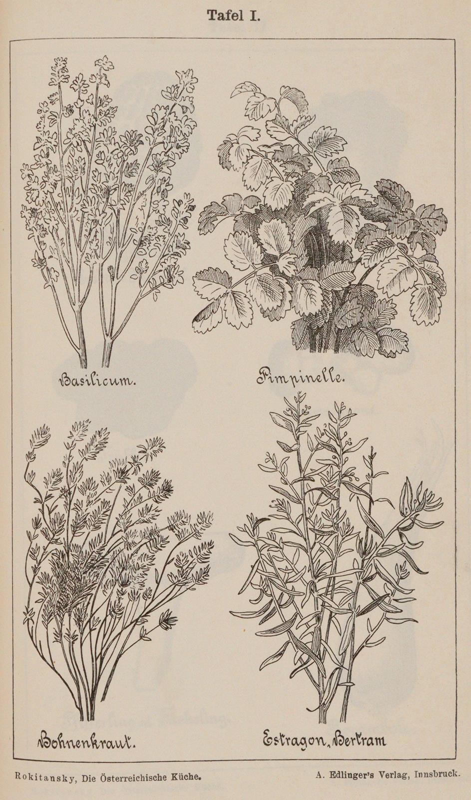 Wiener Küche. | Bild Nr.4