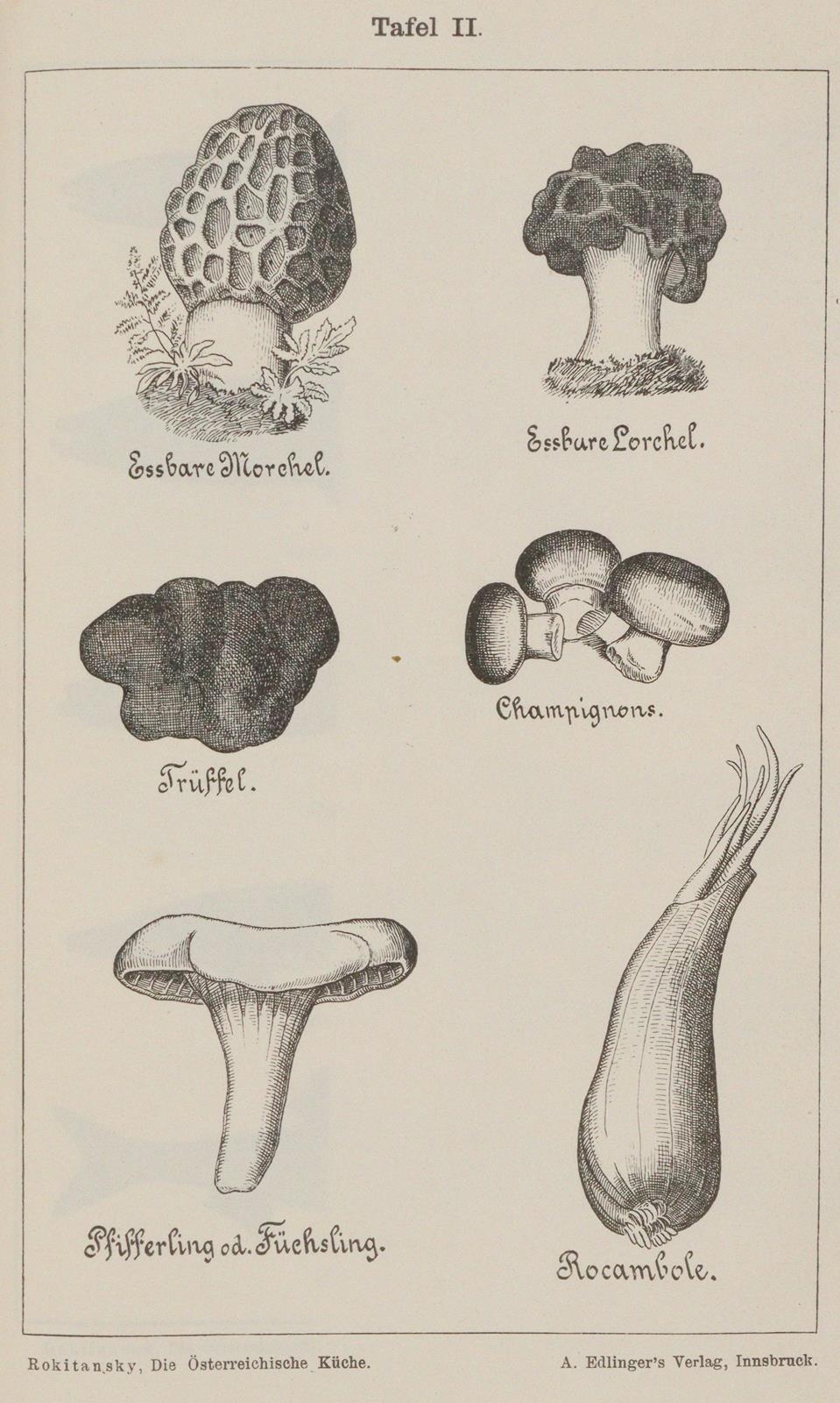Wiener Küche. | Bild Nr.5