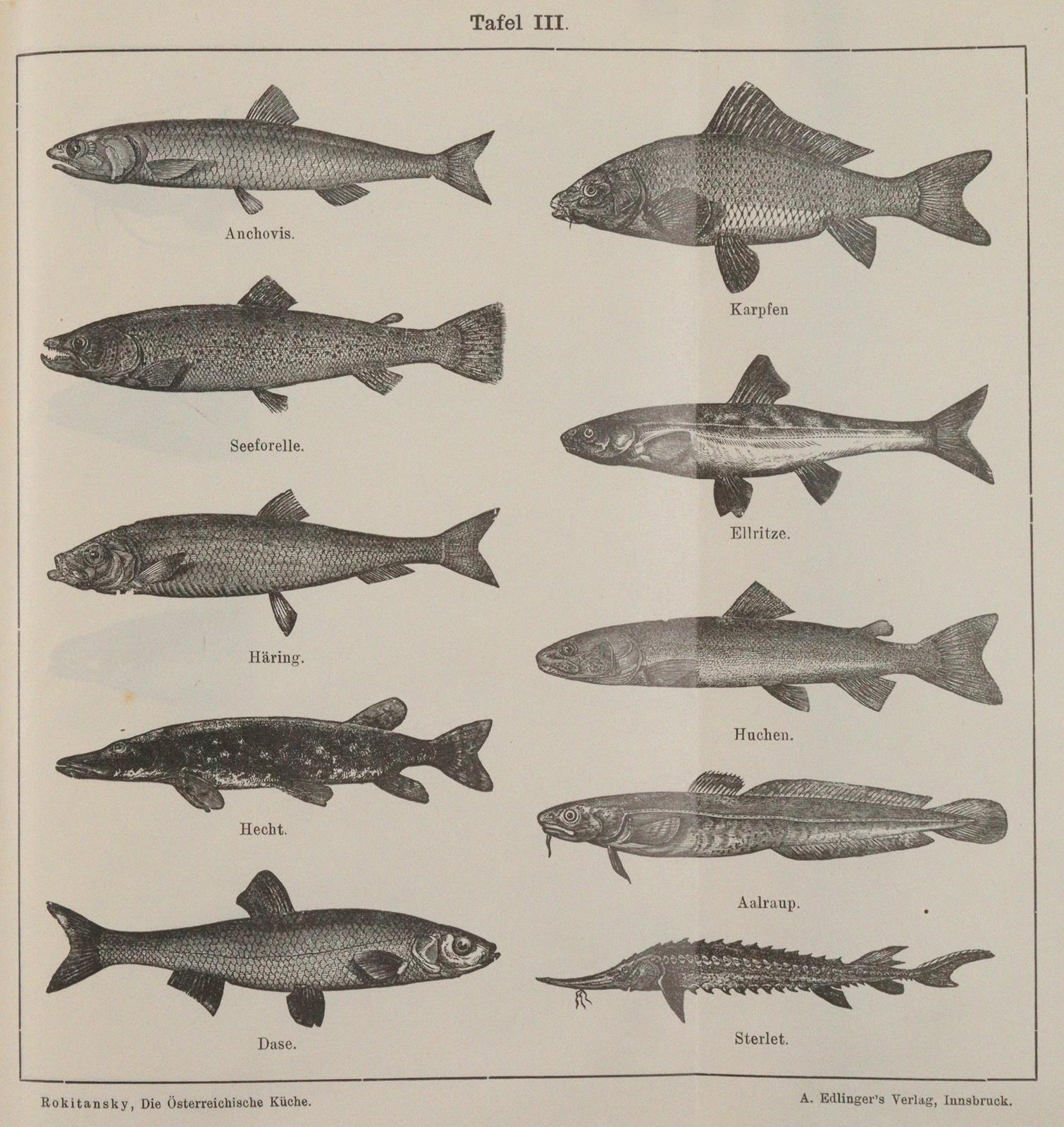 Wiener Küche. | Bild Nr.6