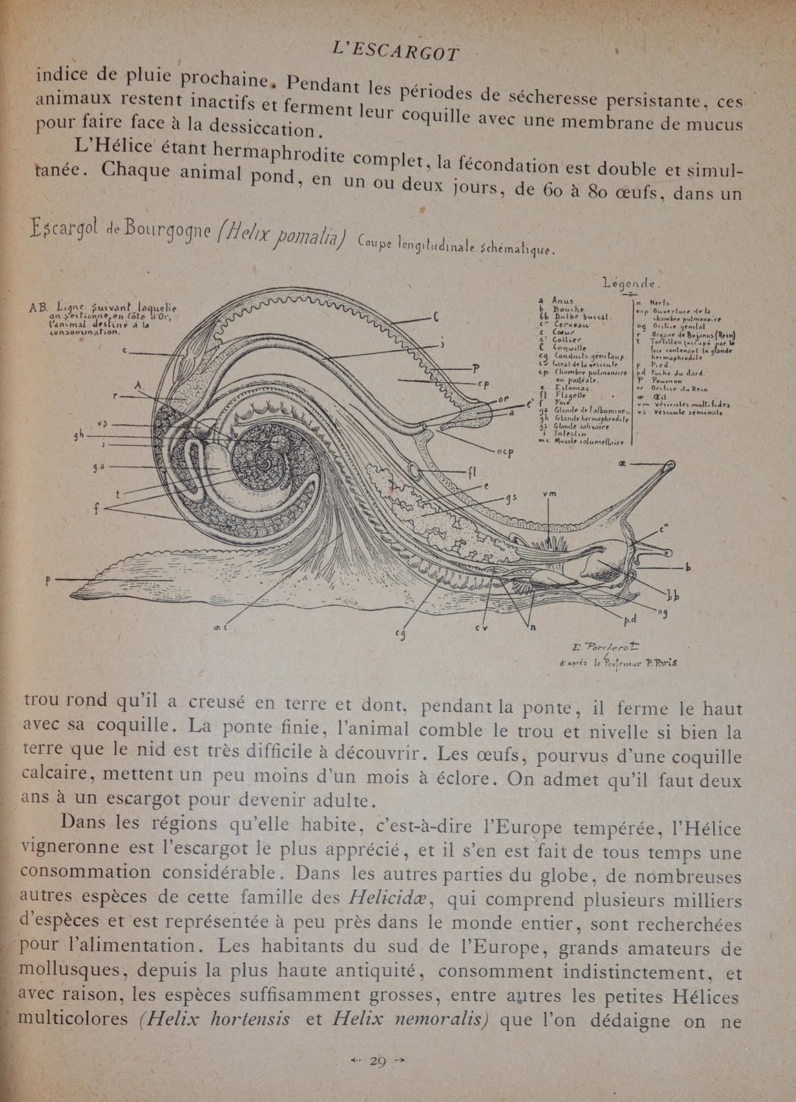 Blandin,C. | Bild Nr.2