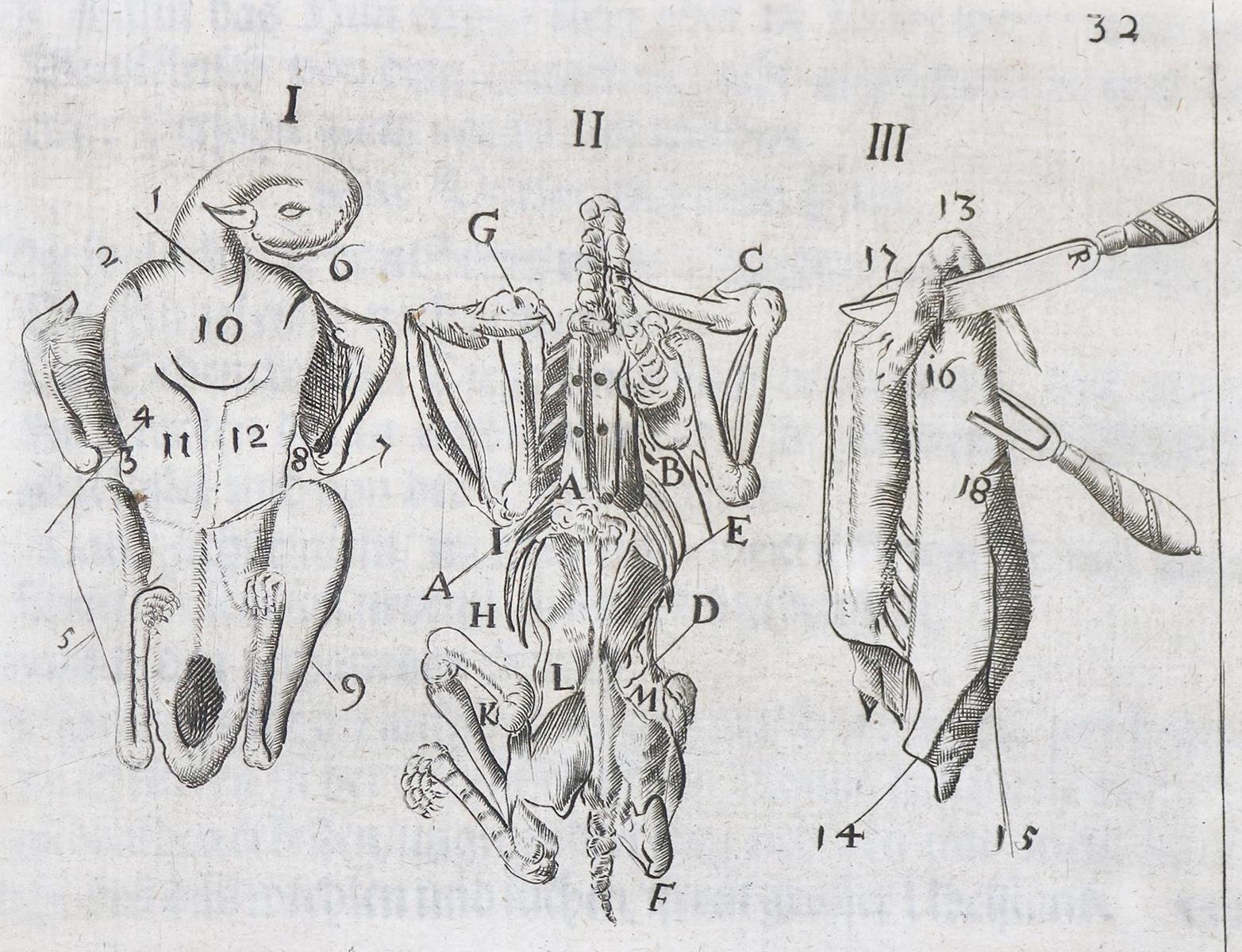Klett,A. | Bild Nr.4