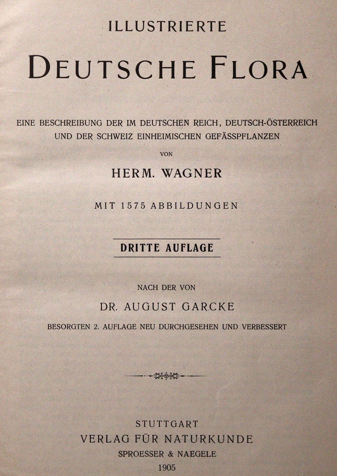 Sammlung | Bild Nr.1