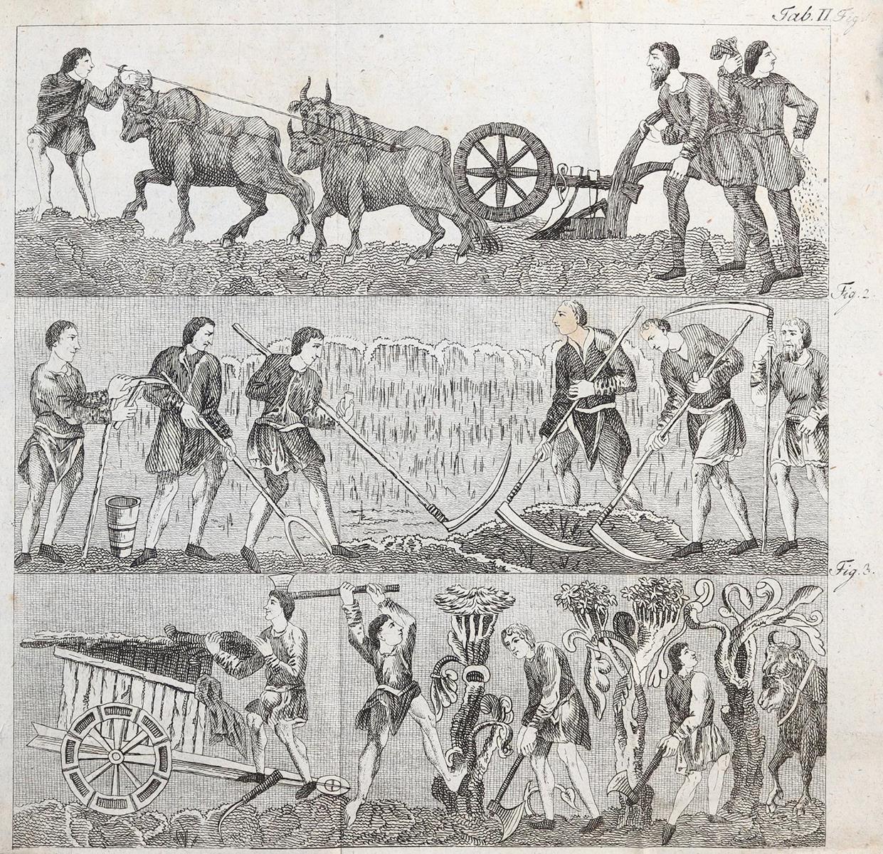 Anton,K.G. | Bild Nr.2