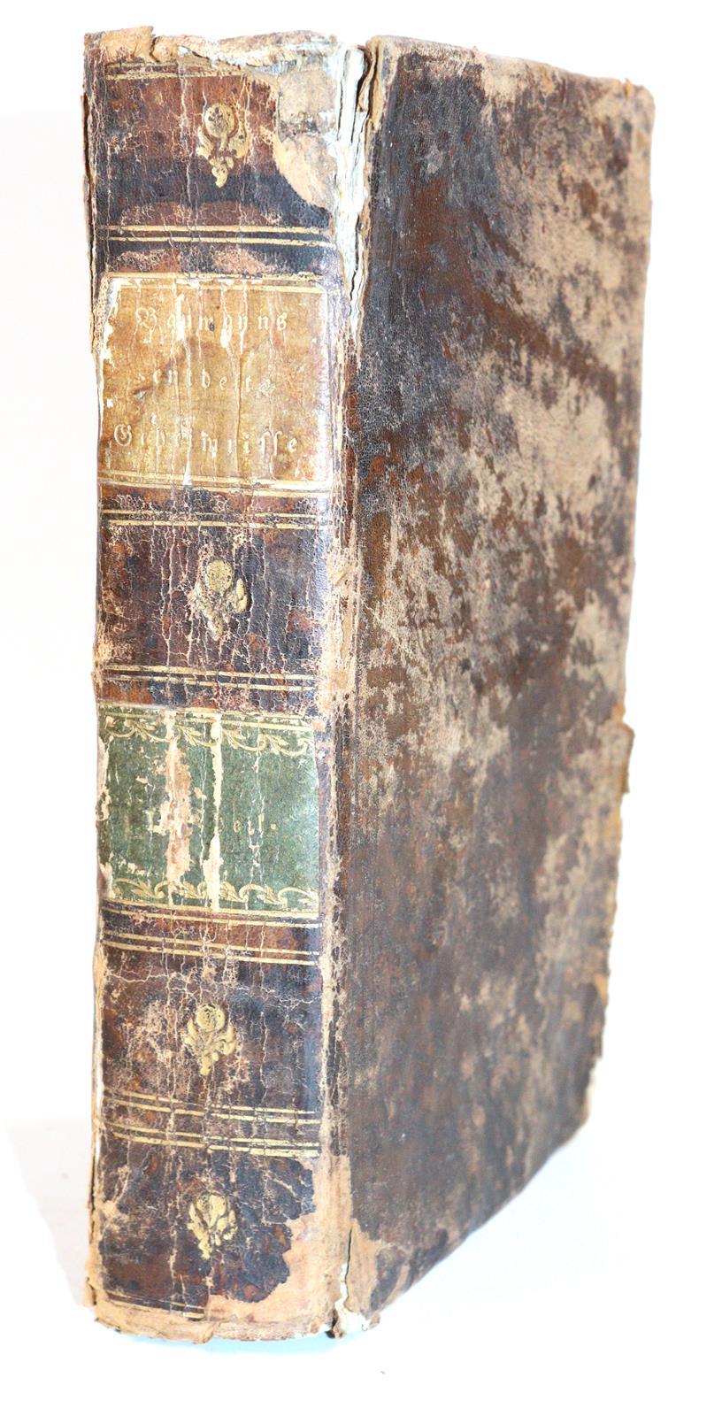 Baumann,C. | Bild Nr.2