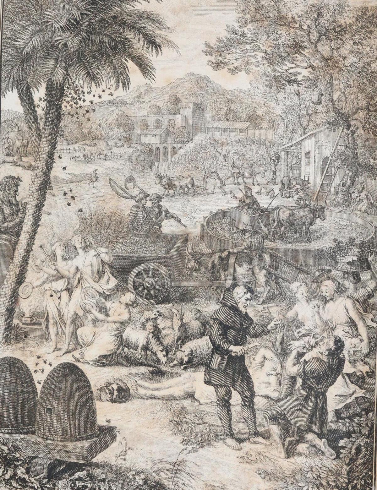 Gesner,J.M. | Bild Nr.2