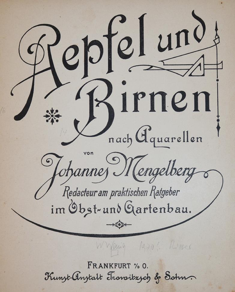 Mengelberg,J. | Bild Nr.1