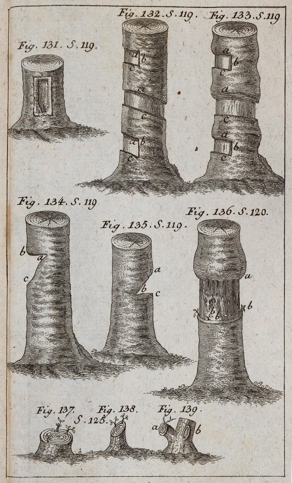 Krünitz,J.G. | Bild Nr.4
