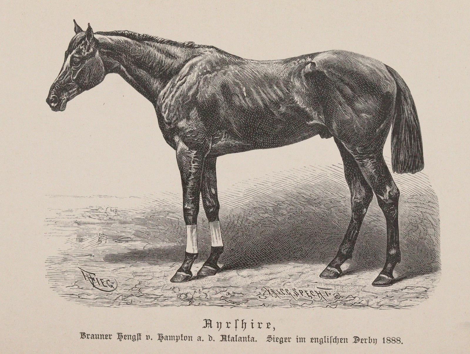 Wrangel,C.G. | Bild Nr.3