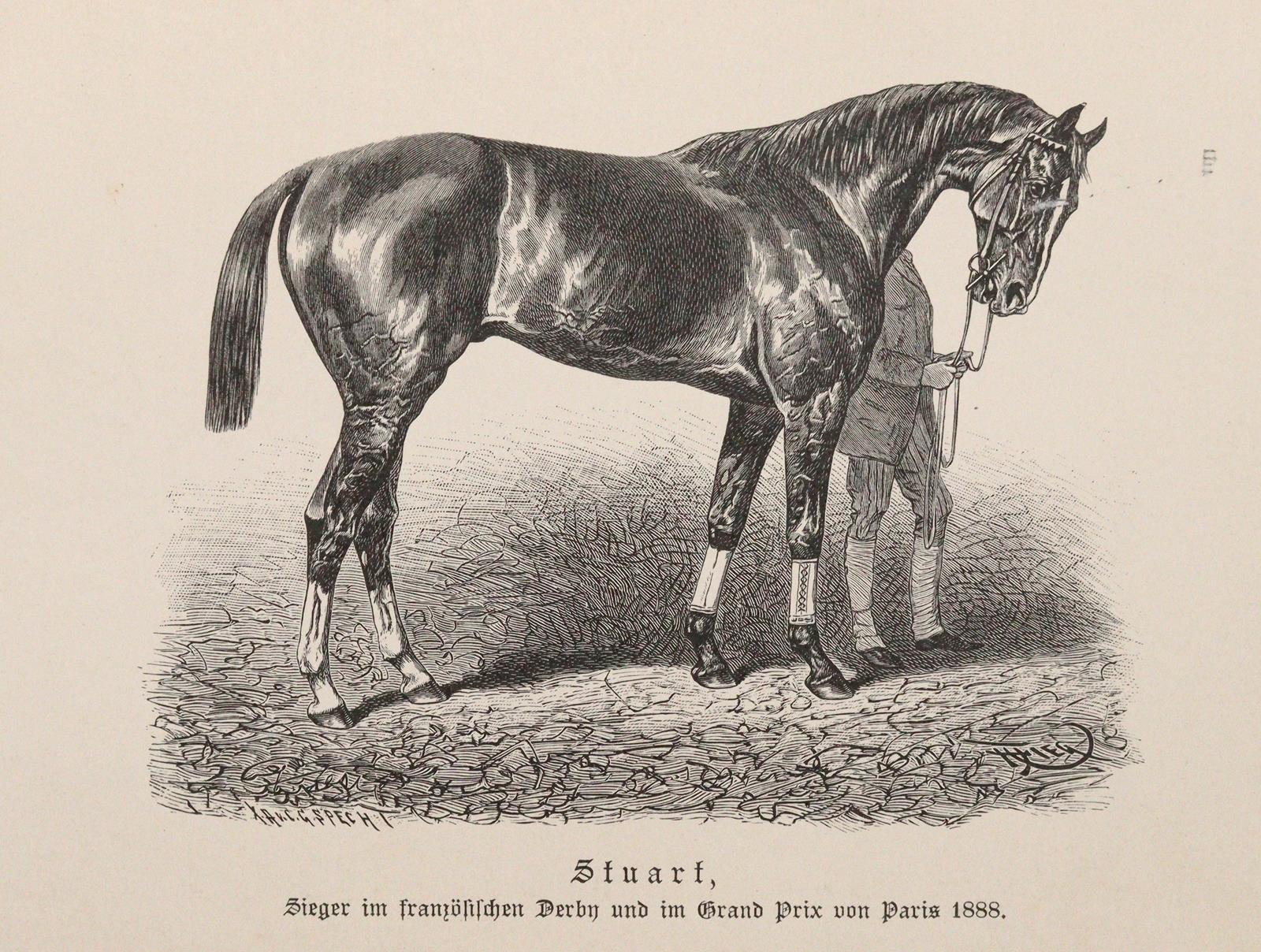 Wrangel,C.G. | Bild Nr.4