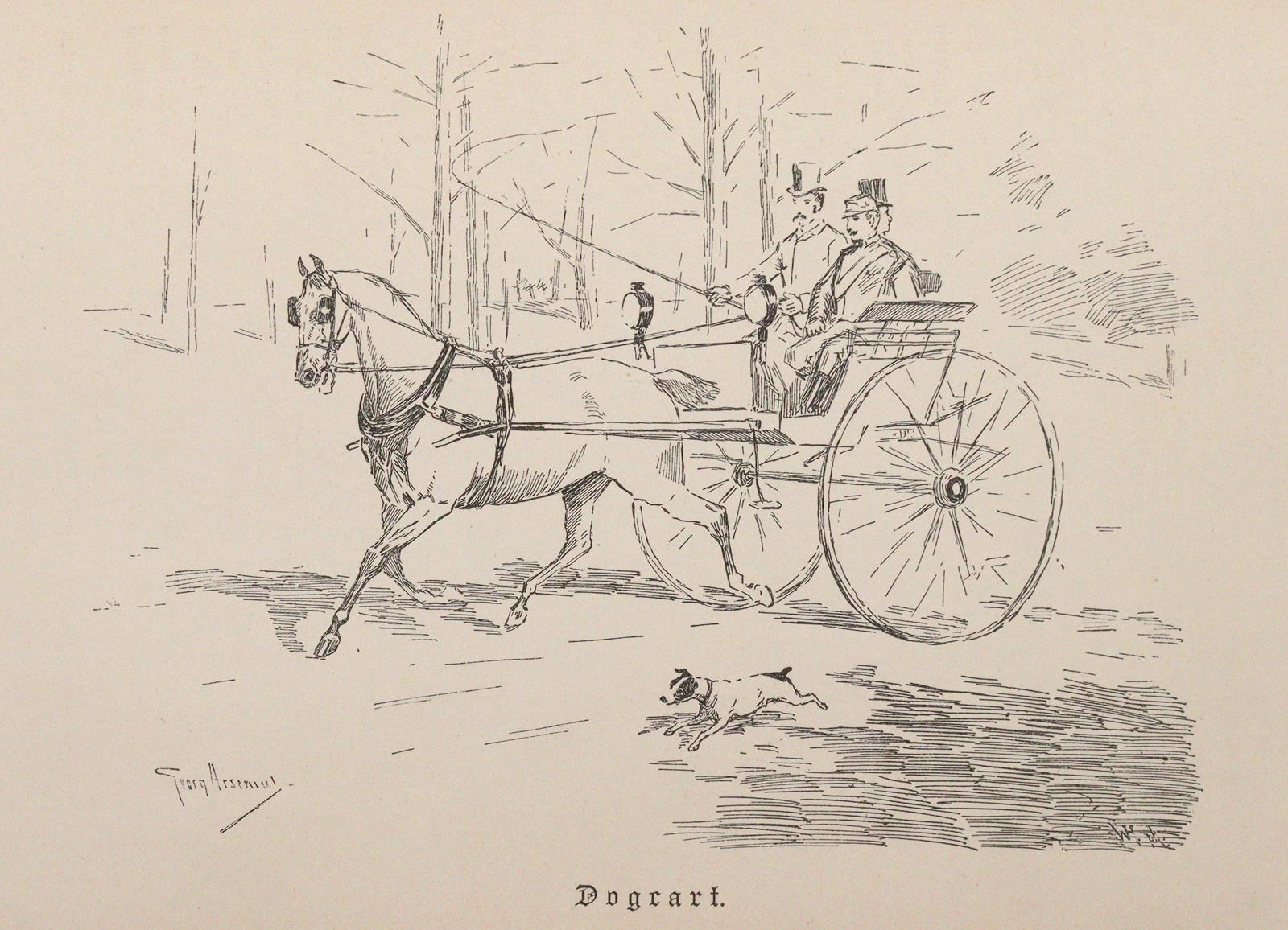 Wrangel,C.G. | Bild Nr.5